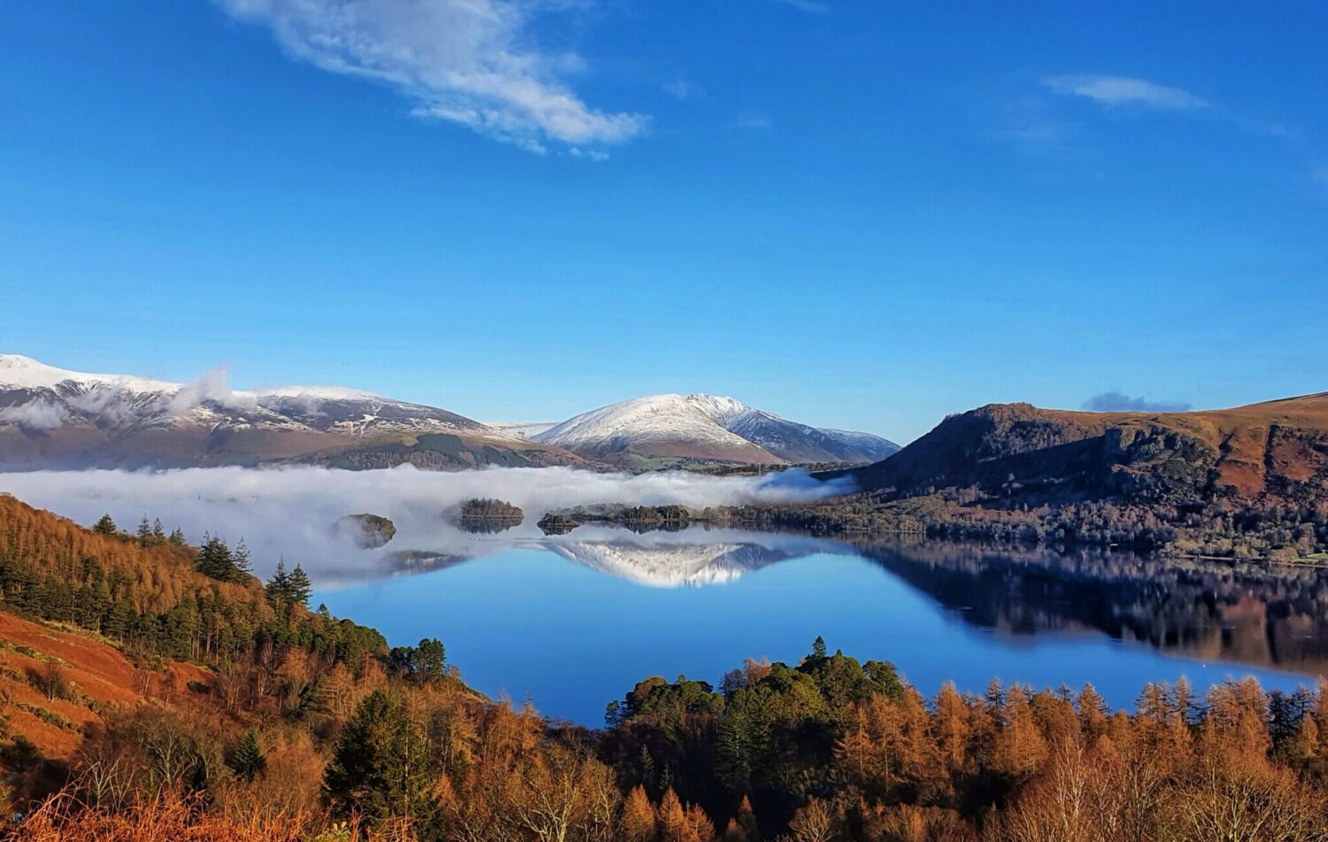 Cat Bells Wellness Walks