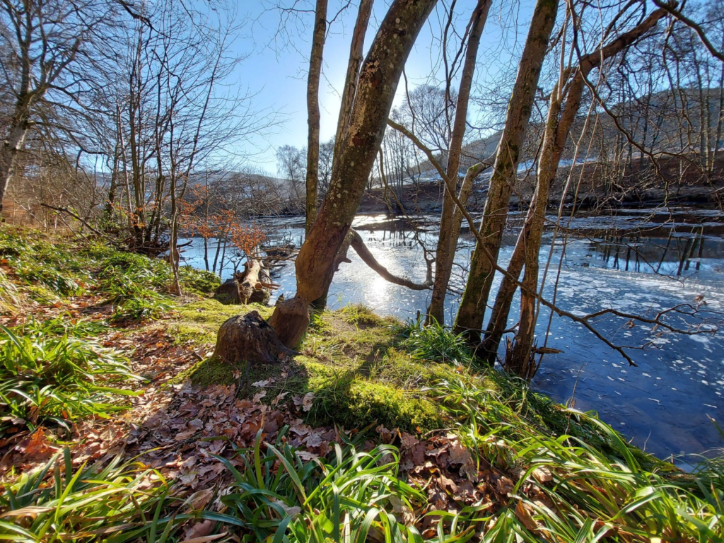 Aberfeldy Walk & Talk Wellness Walks