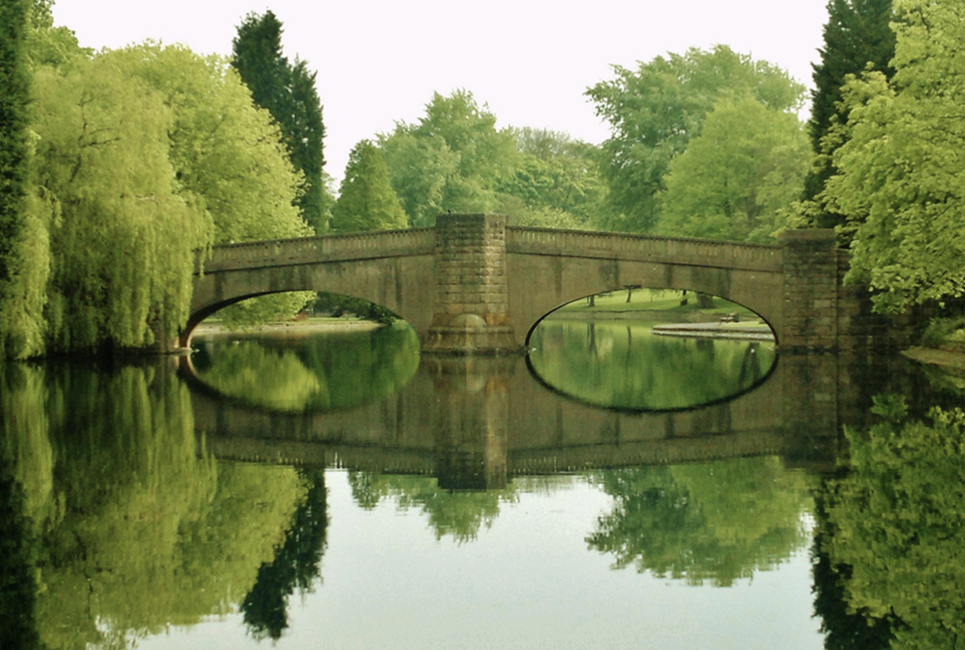 Witton Park – Wellness Walks