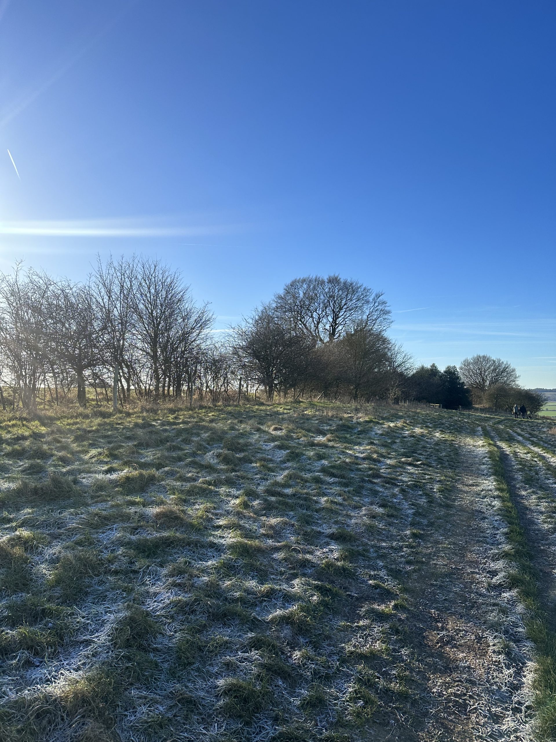 Dunstable Dunstable Downs – Wellness Walks