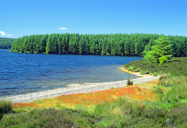 Llyn Brenig & Llyn Alwen – Wellness Walks