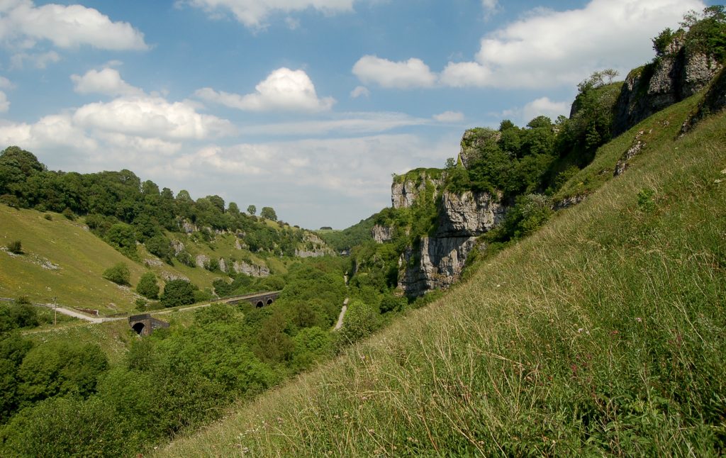A riverside wildlife walk along the River Wye and Chee Dale in the White Peak