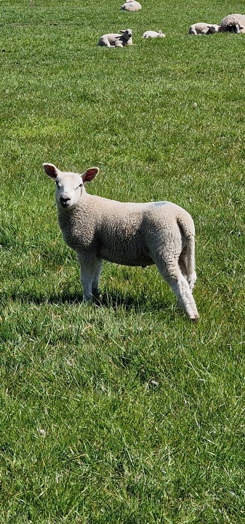 Ladies Only: Hartshead Pike and Moors