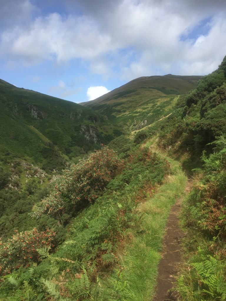 Ben Cleuch circular